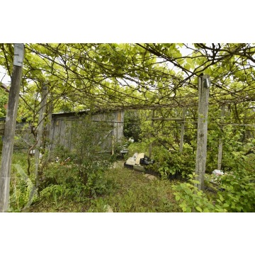 Działka rekreacyjna Lipiny sprzedam, pow. 3124 m2  (31.2a), uzbrojona - zdjęcie 7