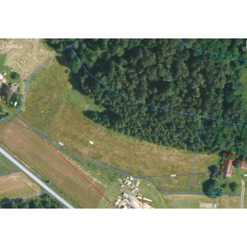 Działka Żurowa sprzedam, pow. 10 000 m2  (1ha), uzbrojona - zdjęcie 2