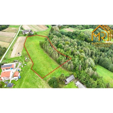 Działka Żurowa sprzedam, pow. 10 000 m2  (1ha), uzbrojona - zdjęcie 1