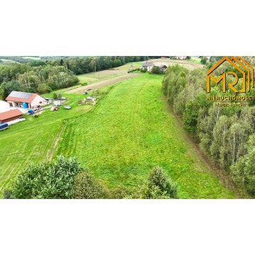 Działka Żurowa sprzedam, pow. 10 000 m2  (1ha), uzbrojona - zdjęcie 3