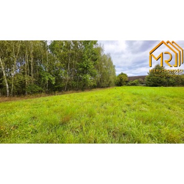 Działka Żurowa sprzedam, pow. 10 000 m2  (1ha), uzbrojona - zdjęcie 8