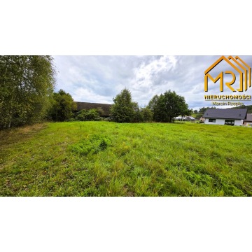 Działka Żurowa sprzedam, pow. 10 000 m2  (1ha), uzbrojona - zdjęcie 7