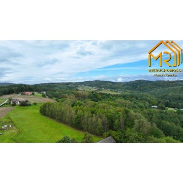 Działka Żurowa sprzedam, pow. 10 000 m2  (1ha), uzbrojona - zdjęcie 4