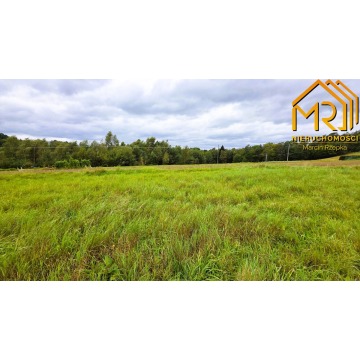 Działka Żurowa sprzedam, pow. 10 000 m2  (1ha), uzbrojona - zdjęcie 6