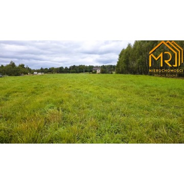 Działka Żurowa sprzedam, pow. 10 000 m2  (1ha), uzbrojona - zdjęcie 5