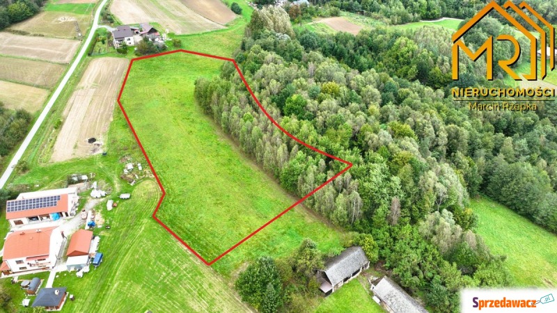 Działka Żurowa sprzedam, pow. 10 000 m2  (1ha), uzbrojona
