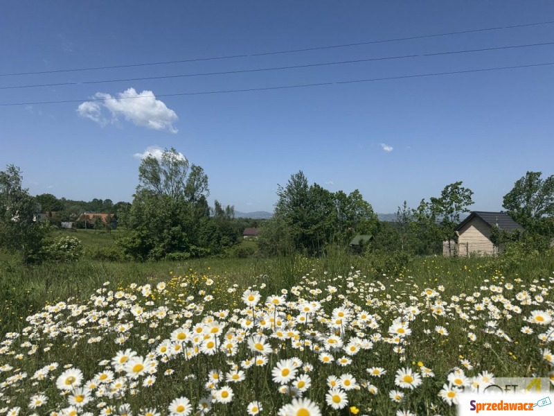 Malownicza działka z wyjątkowym widokiem - Działki na sprzedaż - Nowy Sącz