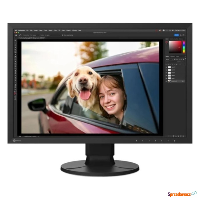 EIZO ColorEdge CS2400R - 24.1''...