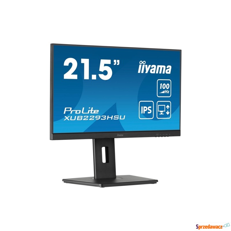 Iiyama Display 22 XUB2293HSU-B7...