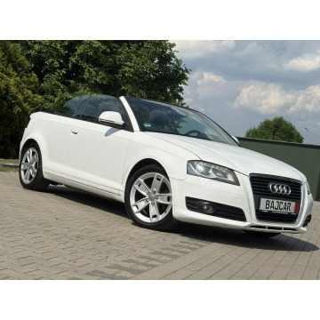 Audi A3  Kabriolet 2009,  1.9 diesel - Na sprzedaż za 18 900 zł - Knurów - zdjęcie 2