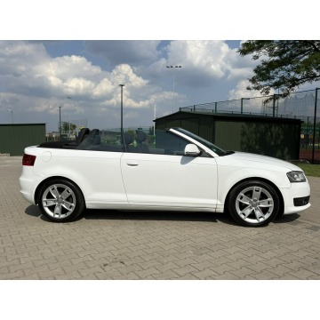 Audi A3  Kabriolet 2009,  1.9 diesel - Na sprzedaż za 18 900 zł - Knurów - zdjęcie 7