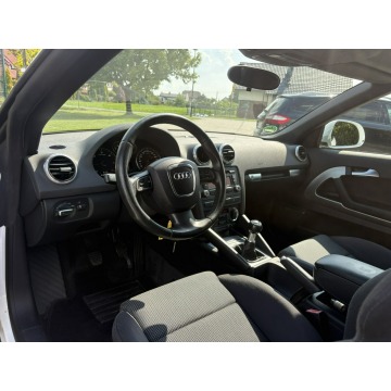 Audi A3  Kabriolet 2009,  1.9 diesel - Na sprzedaż za 18 900 zł - Knurów - zdjęcie 10
