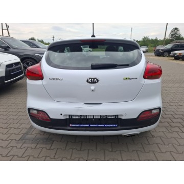 Kia Ceed  Hatchback 2013,  1.6 - Na sprzedaż za 19 800 zł - Malutkie - zdjęcie 5