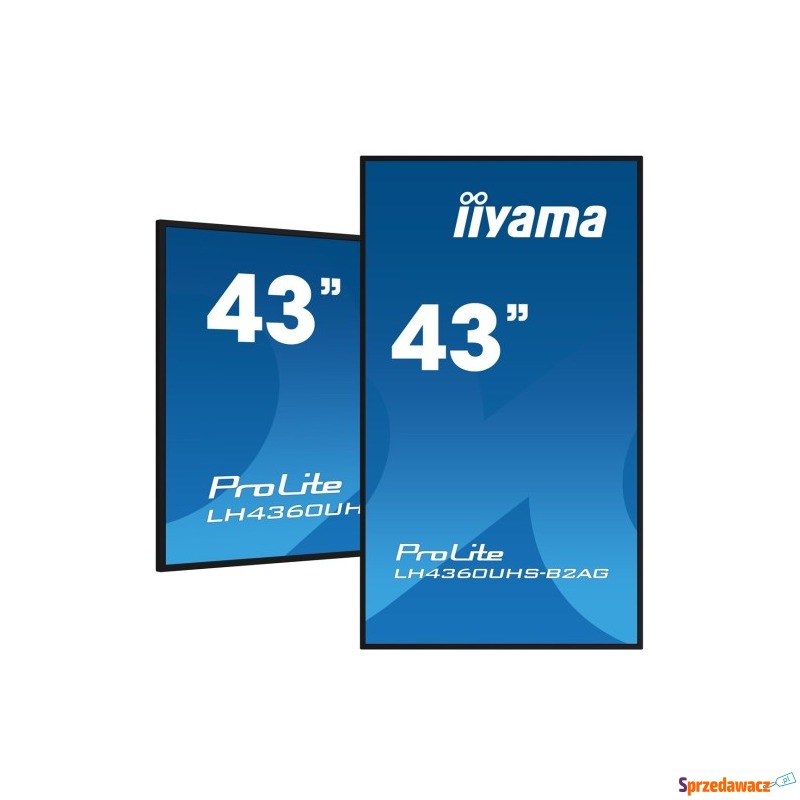 Monitor Iiyama 43 LH4360UHS-B2AG HDMI USB - 107.9... - Monitory LCD i LED - Żyrardów