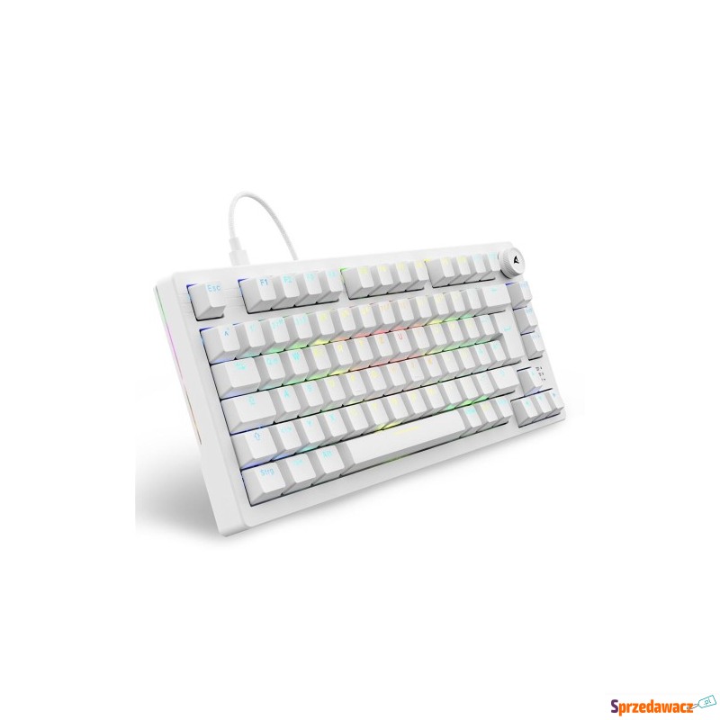 Sharkoon Gaming Tastatur Skiller SGK25 DE - Klawiatury - Zamość