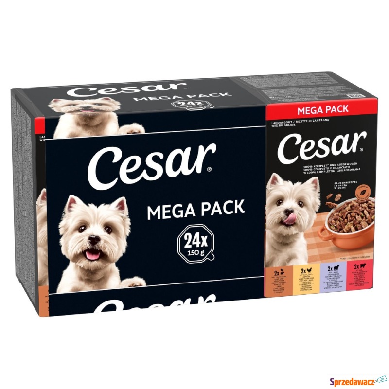 Megapakiet Cesar w tackach, 24 x 150 g - Land... - Karmy dla psów - Nowogard