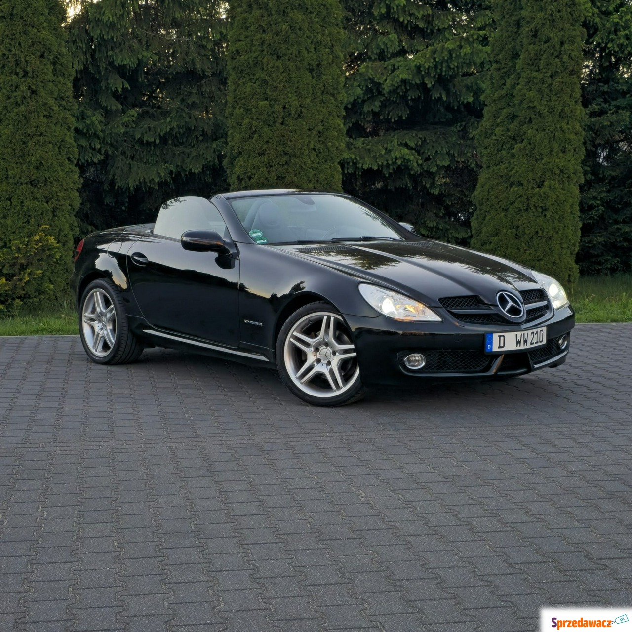 Mercedes - Benz SLK-klasa 2009