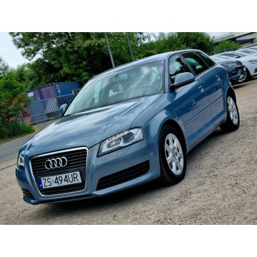 Audi A3 - Lift LED Serwis BiXenon Climatronic Android Auto Kamera Zarejestrowany