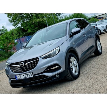 Opel Grandland X  SUV 2017,  1.2 benzyna - Na sprzedaż za 41 900 zł - Szczecin - zdjęcie 1