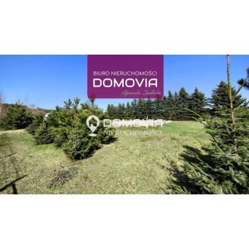 Kosobudy Roztocze działka budowlana 1116 m² m... - Działki na sprzedaż - Kosobudy - zdjęcie 1