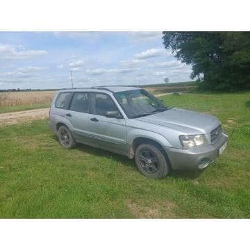 Subaru Forester  Terenowy 2004,  2.5 benzyna+LPG - Na sprzedaż za 12 800 zł - Włodawa - zdjęcie 2
