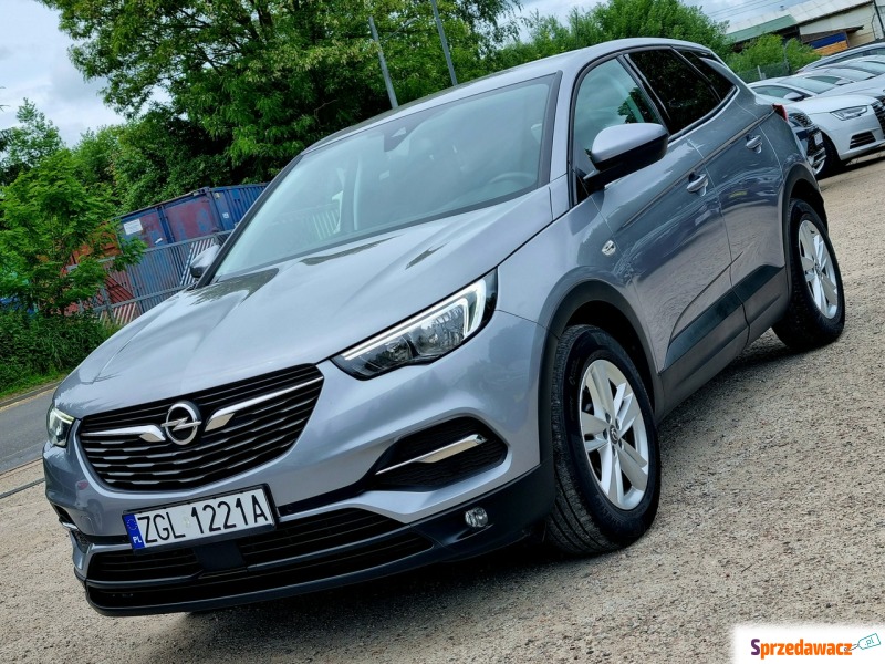 Opel Grandland X  SUV 2017,  1.2 benzyna - Na sprzedaż za 41 900 zł - Szczecin