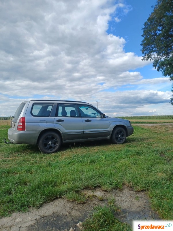 Subaru Forester  Terenowy 2004,  2.5 benzyna+LPG - Na sprzedaż za 12 800 zł - Włodawa