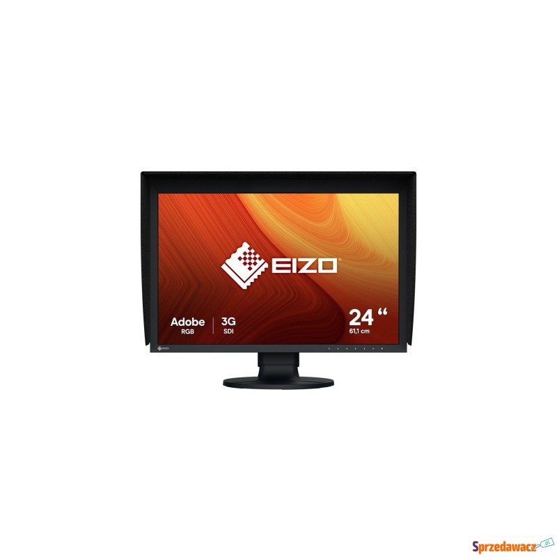 EIZO ColorEdge CG2400SV monitor...
