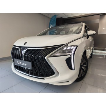 Forthing   Minivan/Van 2025,  1.5 benzyna, automat - Na sprzedaż za 145 900 zł - Kraków - zdjęcie 5
