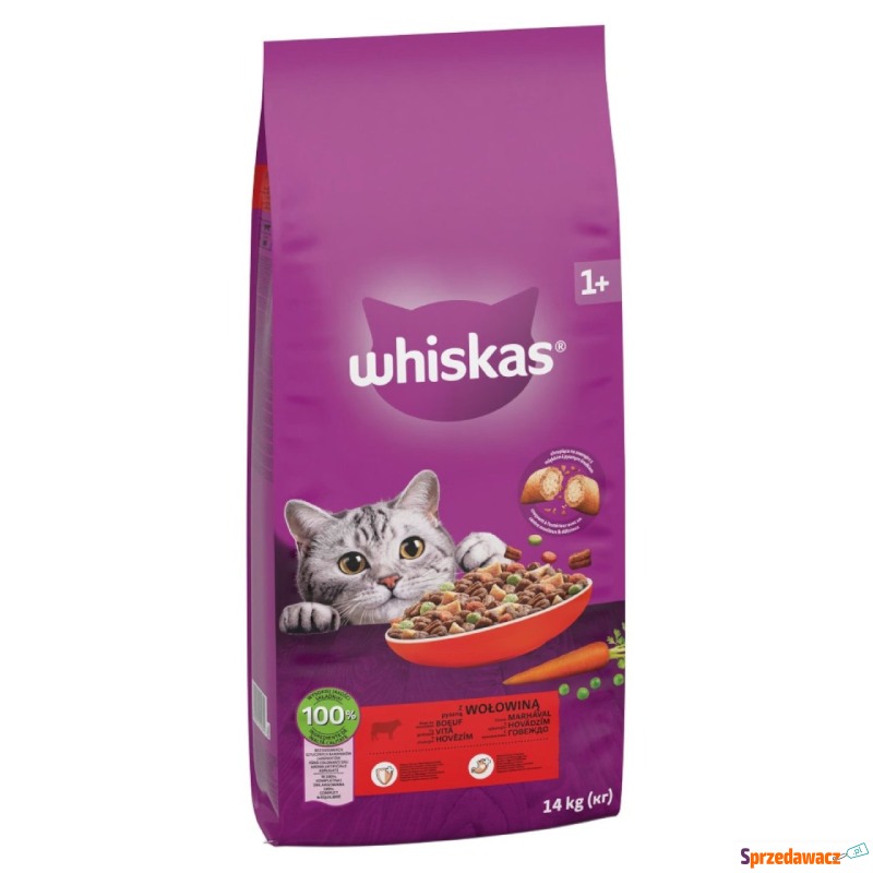 Whiskas 1+ z wołowiną - 14 kg - Karmy dla kotów - Piła