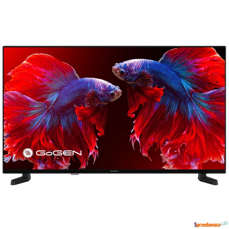Telewizor GoGEN DLED FULL HD 40'' TVF40P420T - Telewizory - Grudziądz