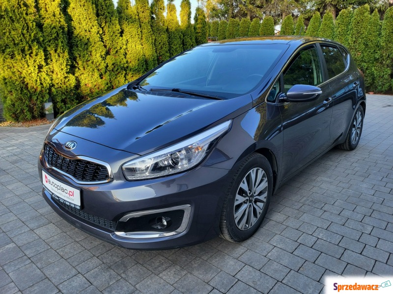 Kia Ceed  Hatchback 2017,  1.4 benzyna - Na sprzedaż za 41 000 zł - Jatutów