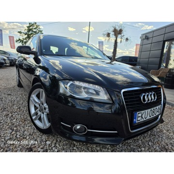 Audi A3  Hatchback 2010,  1.6 diesel - Na sprzedaż za 24 999 zł - Nowe Sójki - zdjęcie 3