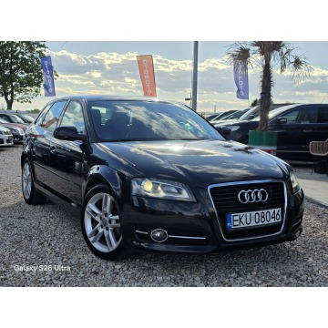 Audi A3  Hatchback 2010,  1.6 diesel - Na sprzedaż za 24 999 zł - Nowe Sójki - zdjęcie 8
