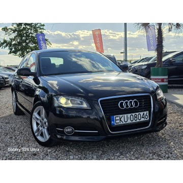 Audi A3  Hatchback 2010,  1.6 diesel - Na sprzedaż za 24 999 zł - Nowe Sójki - zdjęcie 6