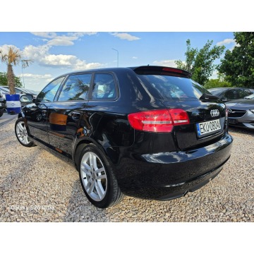 Audi A3  Hatchback 2010,  1.6 diesel - Na sprzedaż za 24 999 zł - Nowe Sójki - zdjęcie 9