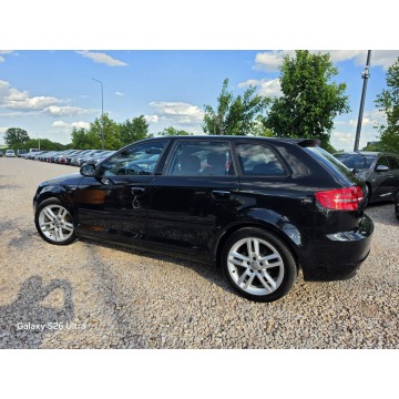 Audi A3  Hatchback 2010,  1.6 diesel - Na sprzedaż za 24 999 zł - Nowe Sójki - zdjęcie 11