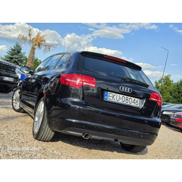 Audi A3  Hatchback 2010,  1.6 diesel - Na sprzedaż za 24 999 zł - Nowe Sójki - zdjęcie 12