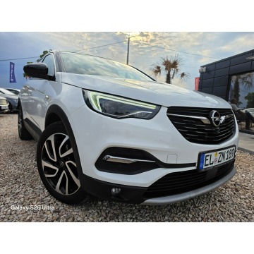 Opel Grandland X  SUV 2019,  1.5 diesel - Na sprzedaż za 55 999 zł - Nowe Sójki - zdjęcie 3