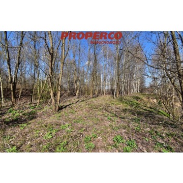 Działka Wąchock sprzedam, pow. 11 961 m2  (1.2ha), uzbrojona - zdjęcie 5