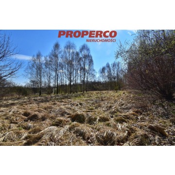Działka Wąchock sprzedam, pow. 11 961 m2  (1.2ha), uzbrojona - zdjęcie 2