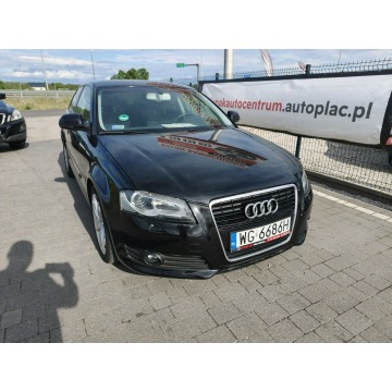 Audi A3  Hatchback 2009,  2.0 diesel - Na sprzedaż za 13 800 zł - Lipówki - zdjęcie 3
