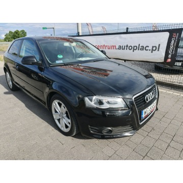 Audi A3  Hatchback 2009,  2.0 diesel - Na sprzedaż za 13 800 zł - Lipówki - zdjęcie 4