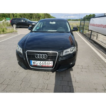 Audi A3  Hatchback 2009,  2.0 diesel - Na sprzedaż za 13 800 zł - Lipówki - zdjęcie 2