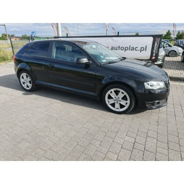 Audi A3  Hatchback 2009,  2.0 diesel - Na sprzedaż za 13 800 zł - Lipówki - zdjęcie 5