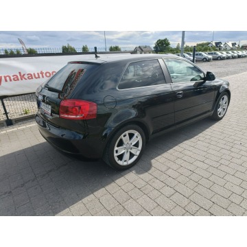 Audi A3  Hatchback 2009,  2.0 diesel - Na sprzedaż za 13 800 zł - Lipówki - zdjęcie 7