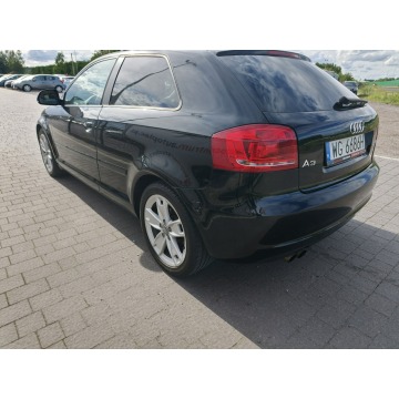 Audi A3  Hatchback 2009,  2.0 diesel - Na sprzedaż za 13 800 zł - Lipówki - zdjęcie 11