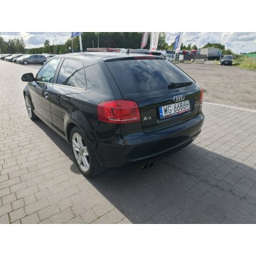 Audi A3  Hatchback 2009,  2.0 diesel - Na sprzedaż za 13 800 zł - Lipówki - zdjęcie 9