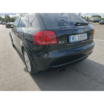 Audi A3  Hatchback 2009,  2.0 diesel - Na sprzedaż za 13 800 zł - Lipówki - zdjęcie 12