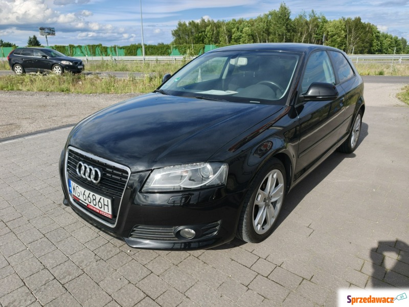 Audi A3  Hatchback 2009,  2.0 diesel - Na sprzedaż za 13 800 zł - Lipówki